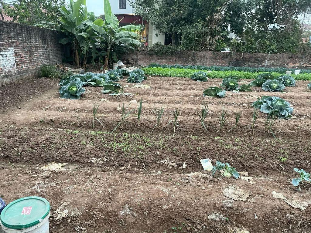 Bán đất thổ cư