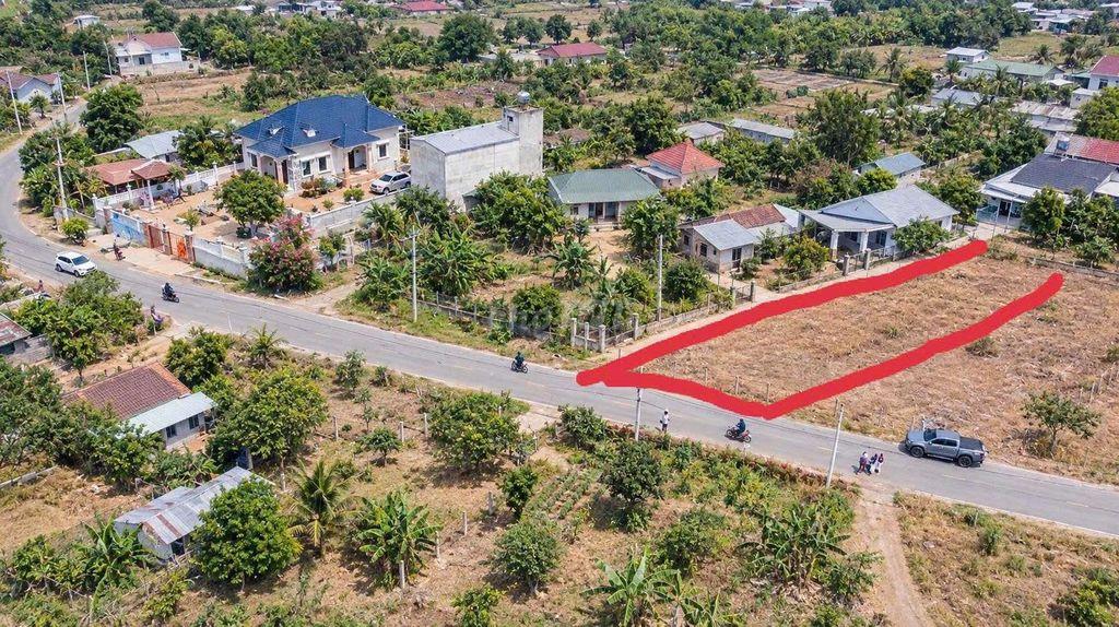 Đất ngợp 10x50 550tr