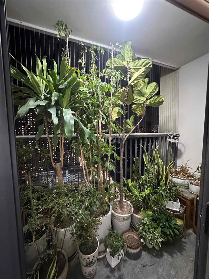 Cần bán gấp căn hộ 81,4m² Samsora Premier – View đẹp, thoáng mát