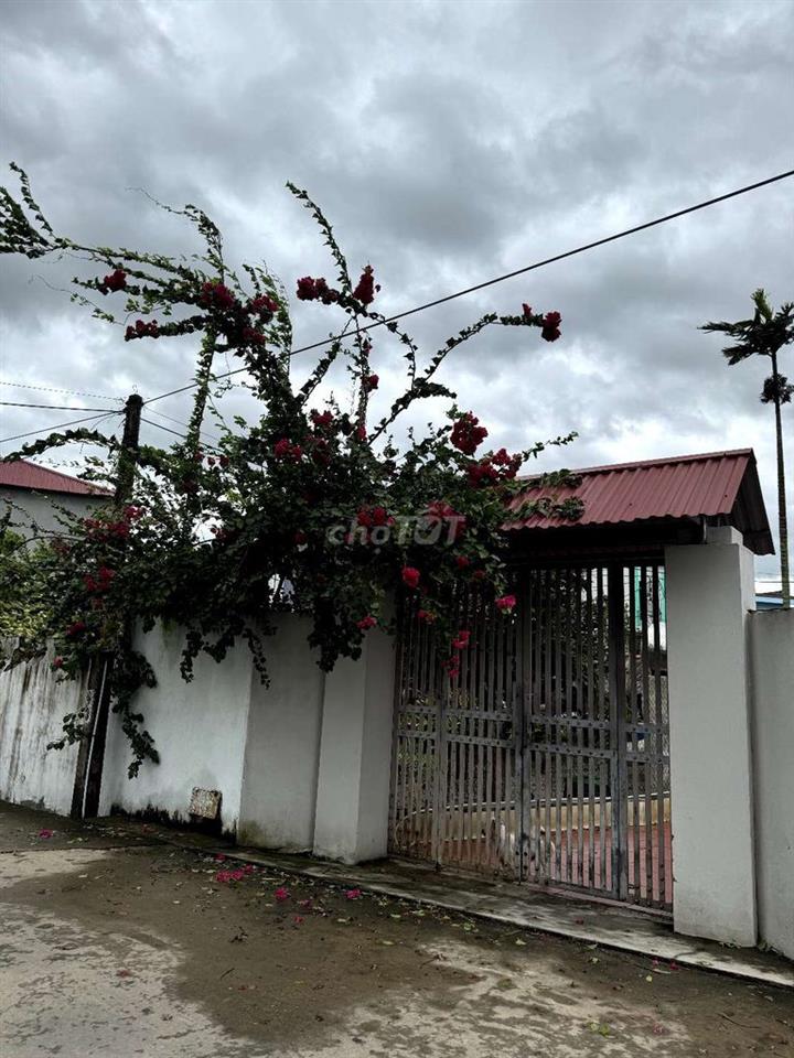 Đất thổ cư tại phường Tân Tiến