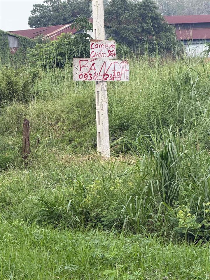 Bán Đất Giá Ngộp Giá Rẽ