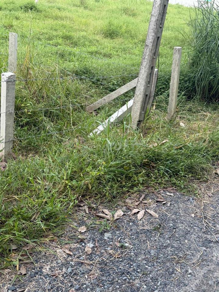 Bán Đất Giá Ngộp Giá Rẽ