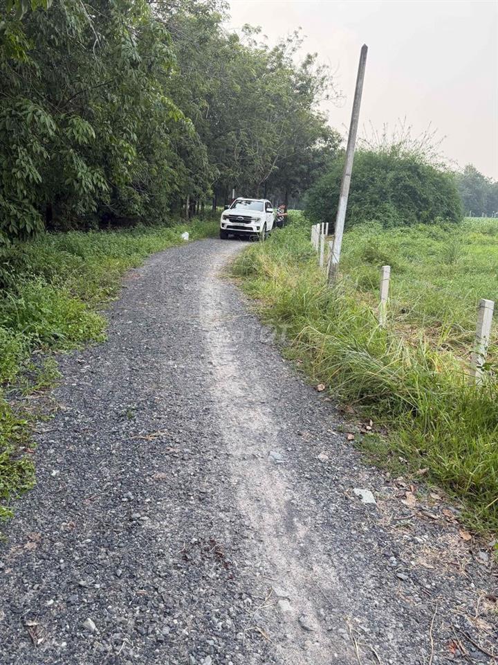Bán Đất Giá Ngộp Giá Rẽ