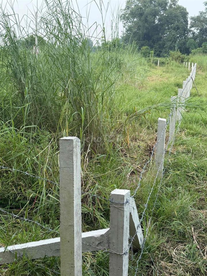 Bán Đất Giá Ngộp Giá Rẽ