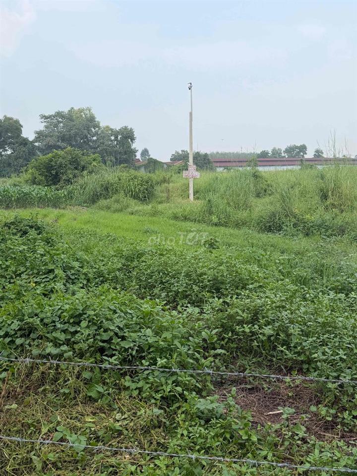 Bán Đất Giá Ngộp Giá Rẽ