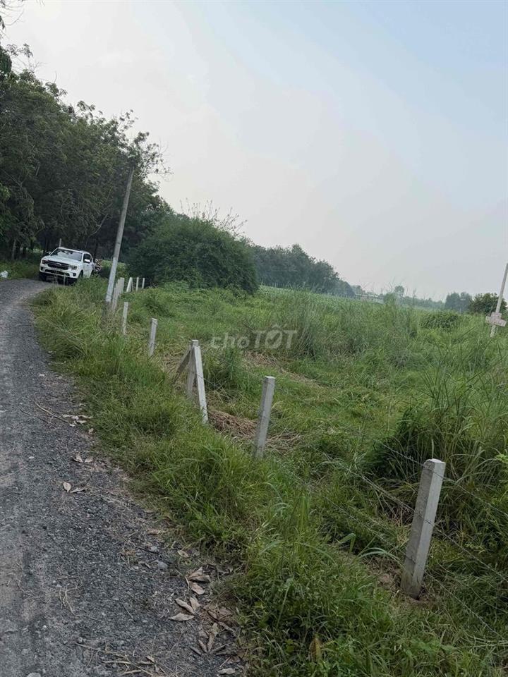Bán Đất Giá Ngộp Giá Rẽ