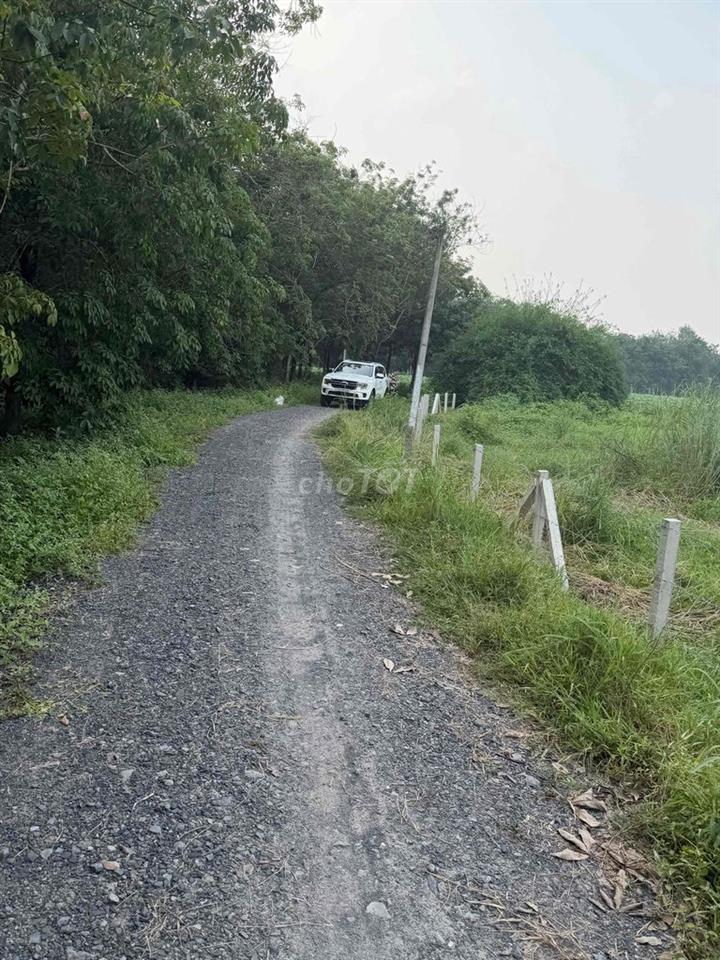 Bán Đất Giá Ngộp Giá Rẽ