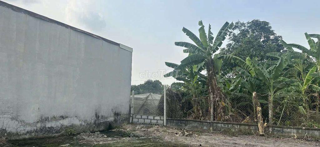 🔥 CHO THUÊ ĐẤT TRỐNG RỘNG TẠI CỦ CHI – 16m x 43m (691m²) 🔥