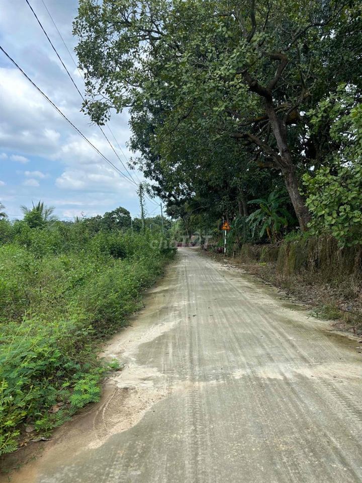 Bán Lô đất cách chợ Định Quán 1,5km