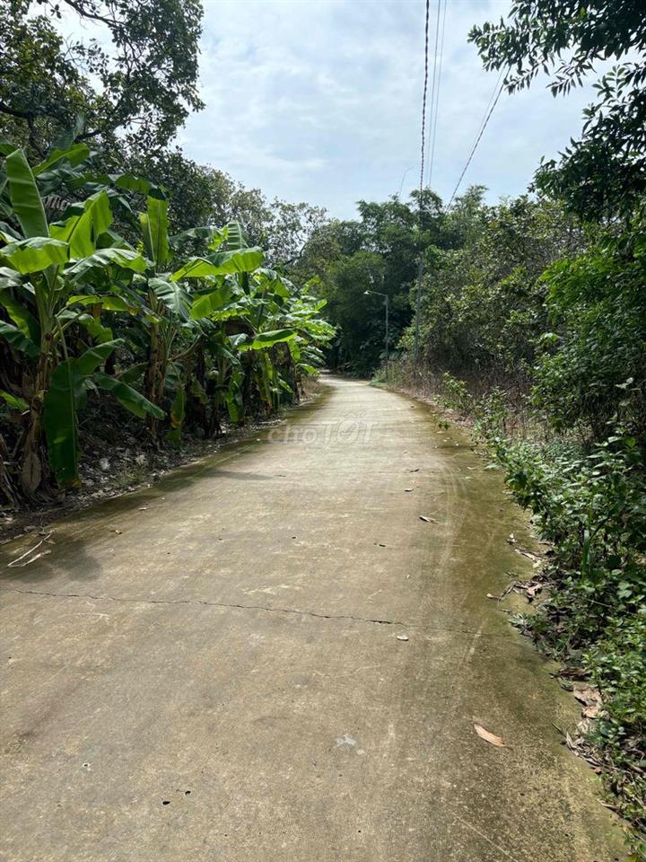 Bán Lô đất cách chợ Định Quán 1,5km
