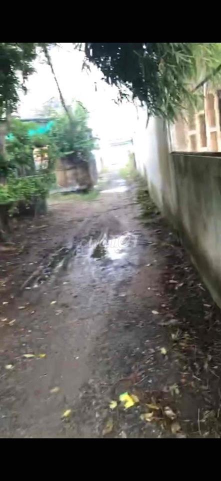 Đức Hoà Thượng Mỹ Hạnh Nhà đất 6x33 3 phòng ngủ 2 wc sân trước và sau