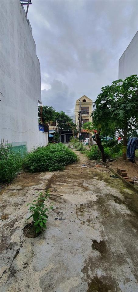 BÁN ĐẤT NAM VIỆT Á CHÍNH CHỦ