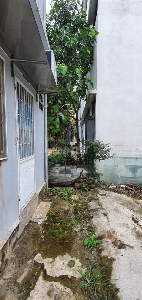 BÁN ĐẤT NAM VIỆT Á CHÍNH CHỦ