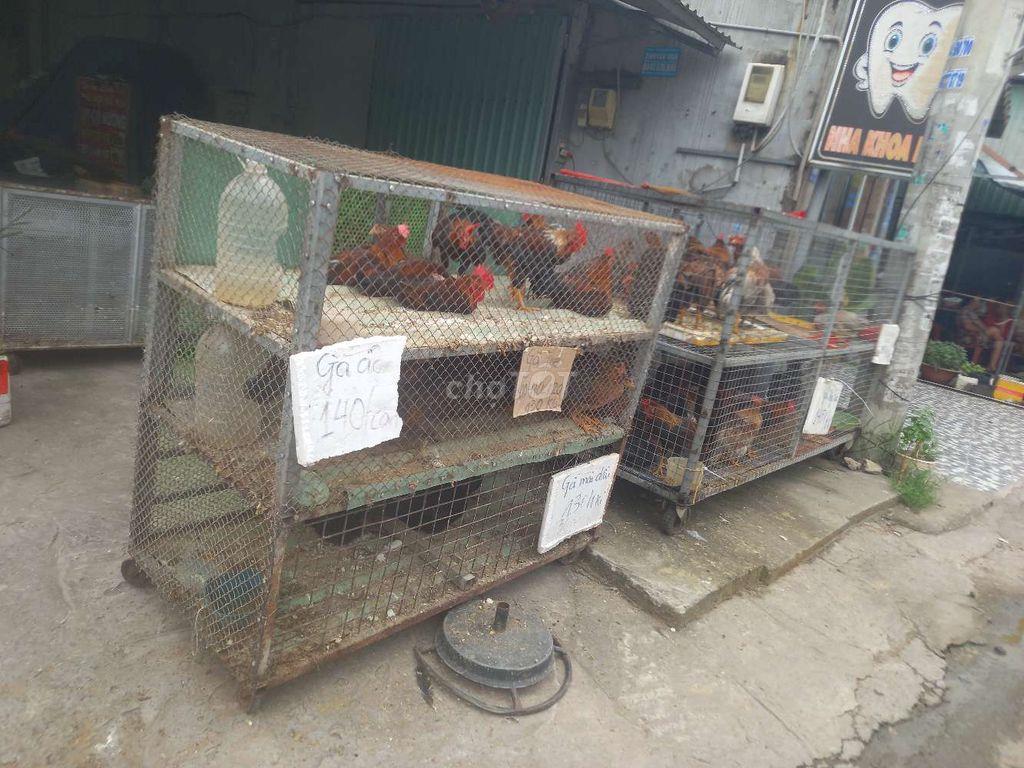 cần sang quán bán gà thịt