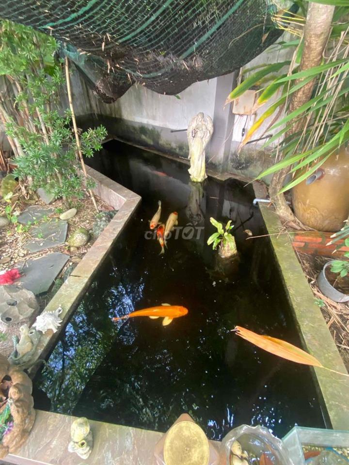 CHO THUÊ NHÀ SÂN VƯỜN 3 TẦNG NGUYÊN CĂN NHÀ BÈ - HUỲNH TẤN PHÁT
