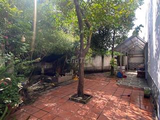 CHO THUÊ NHÀ SÂN VƯỜN 3 TẦNG NGUYÊN CĂN NHÀ BÈ - HUỲNH TẤN PHÁT