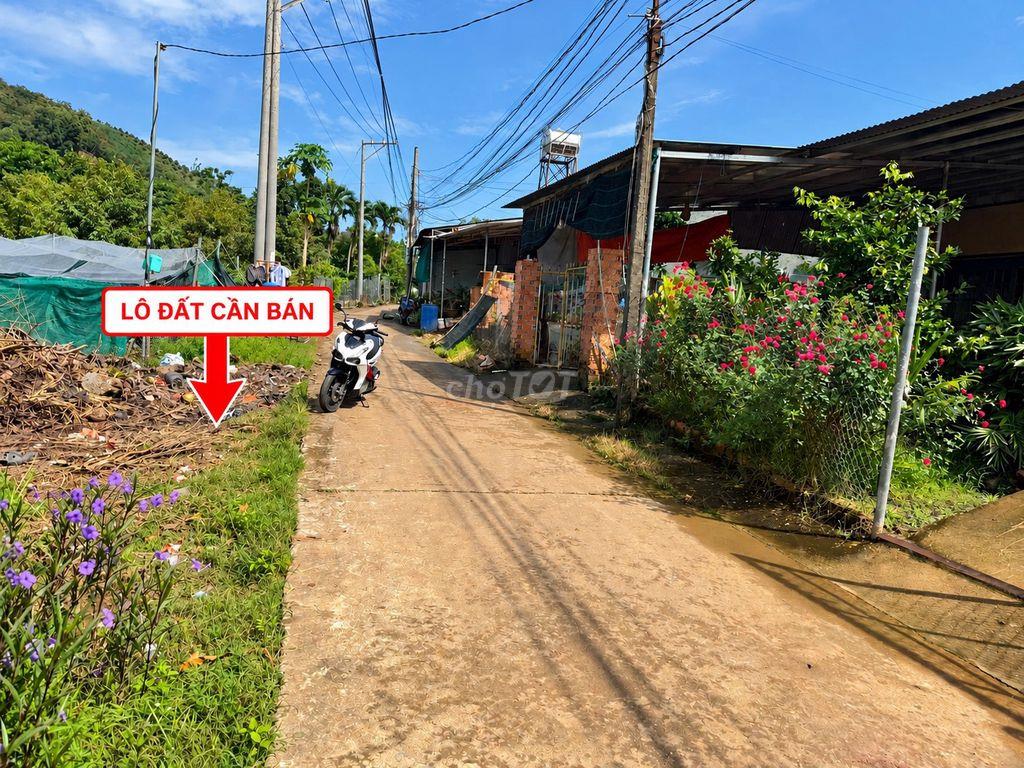 BÁN ĐẤT TÂN PHÚ – ĐỒNG NAI | 554,4M² | 100M² THỔ CƯ | 2,1 TỶ