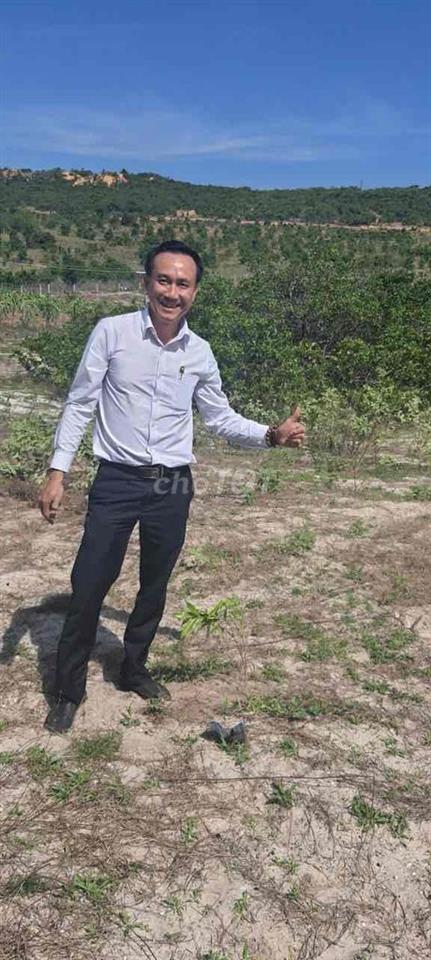 Hợp tác trồng Thăng Long hoặc vườn trái cây