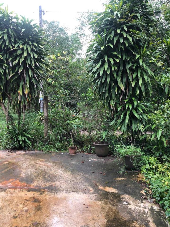 Nhà cấp 4 nguyên căn