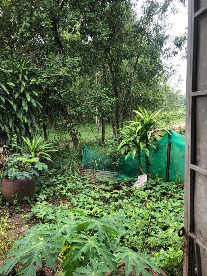 Nhà cấp 4 nguyên căn