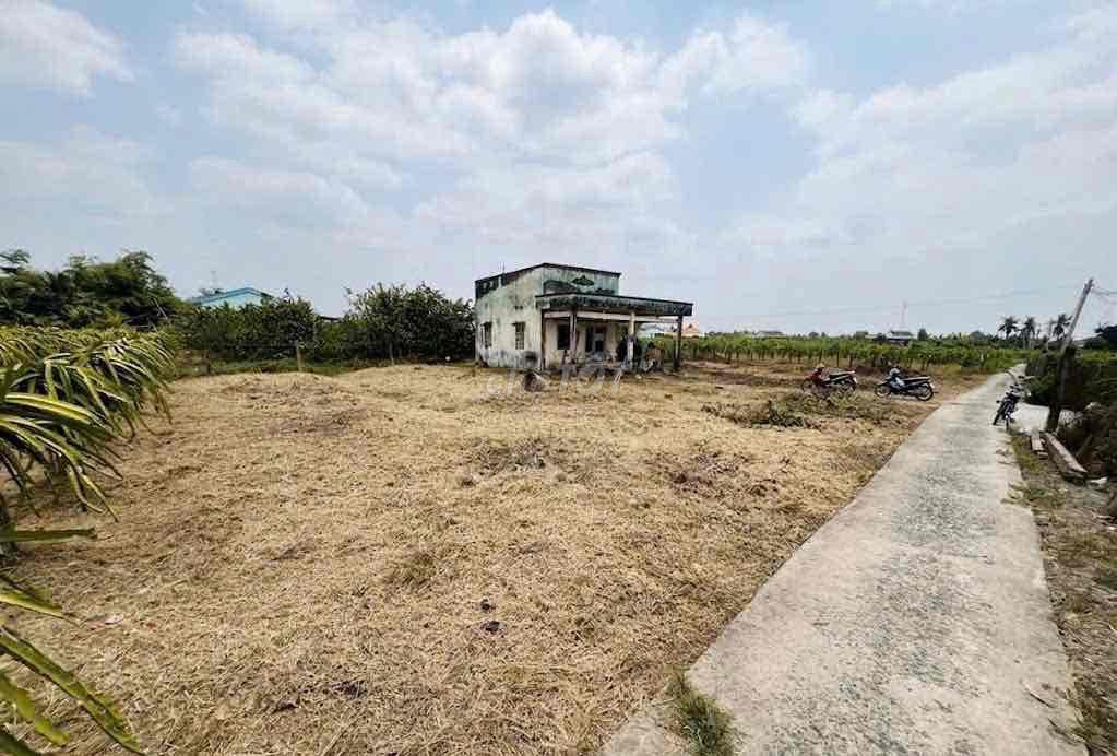 Bán đất Long An chỉ 270tr/1000m2 - Có sẵn nhà và 400 trụ thanh long