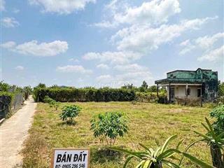 Bán đất Long An chỉ 270tr/1000m2 - Có sẵn nhà và 400 trụ thanh long