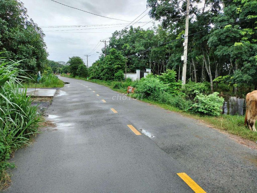 Đất mặt tiền cây gõ 253m giá 1,95 tỷ 