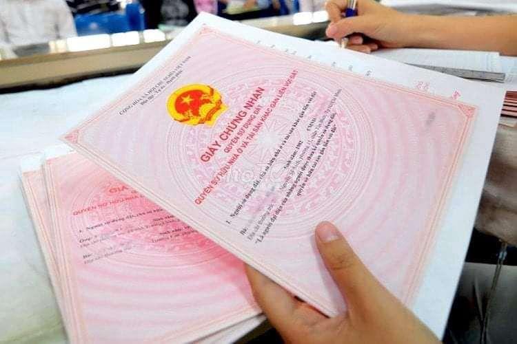 Đất mặt tiền cây gõ 253m giá 1,95 tỷ 