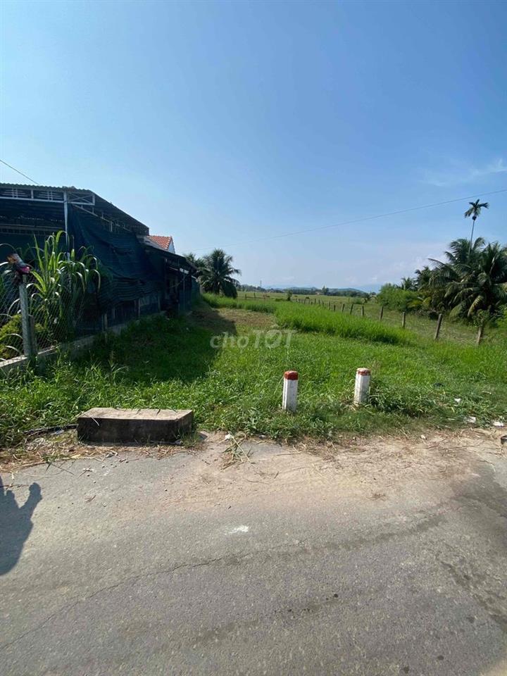 CẦN BÁN ĐẤT MẶT TIỀN 500m2