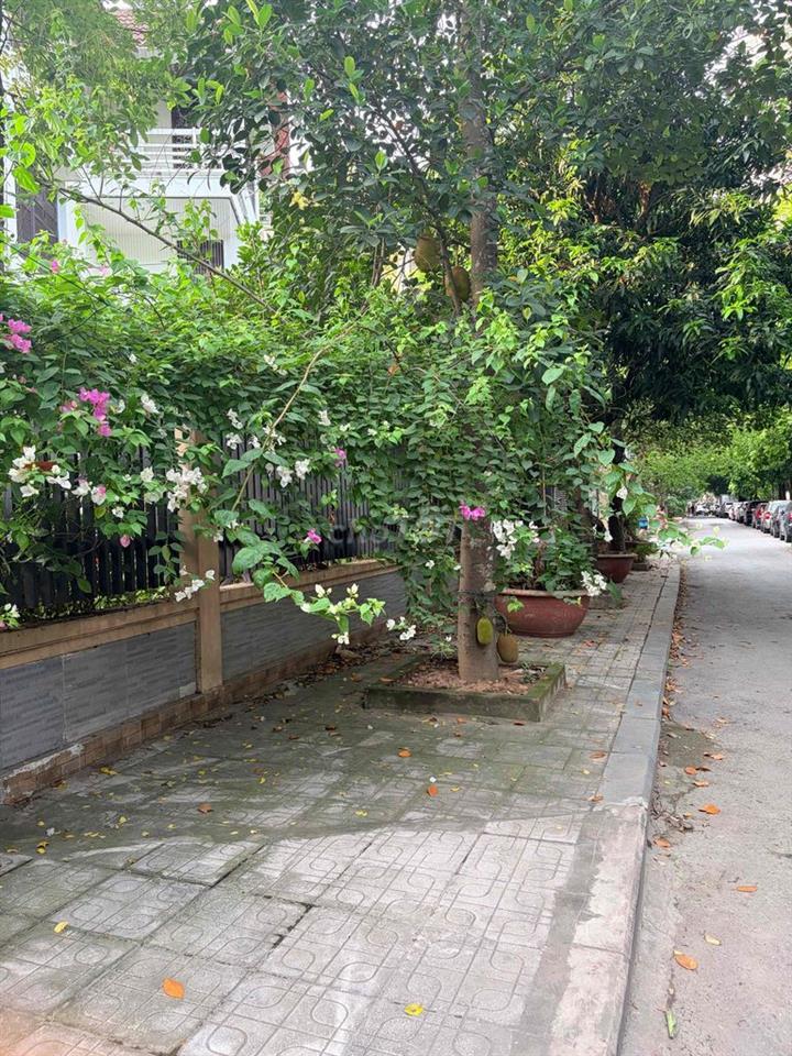 Bán đất