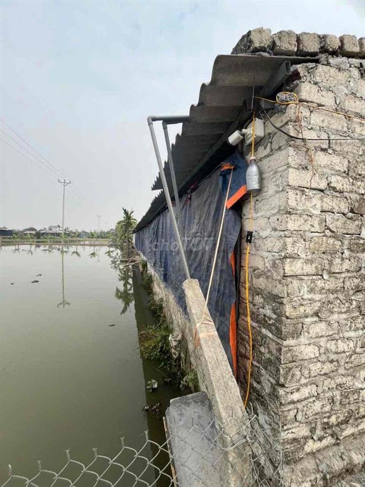 Nhà cho thuê