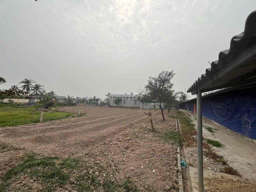 Nhà cho thuê