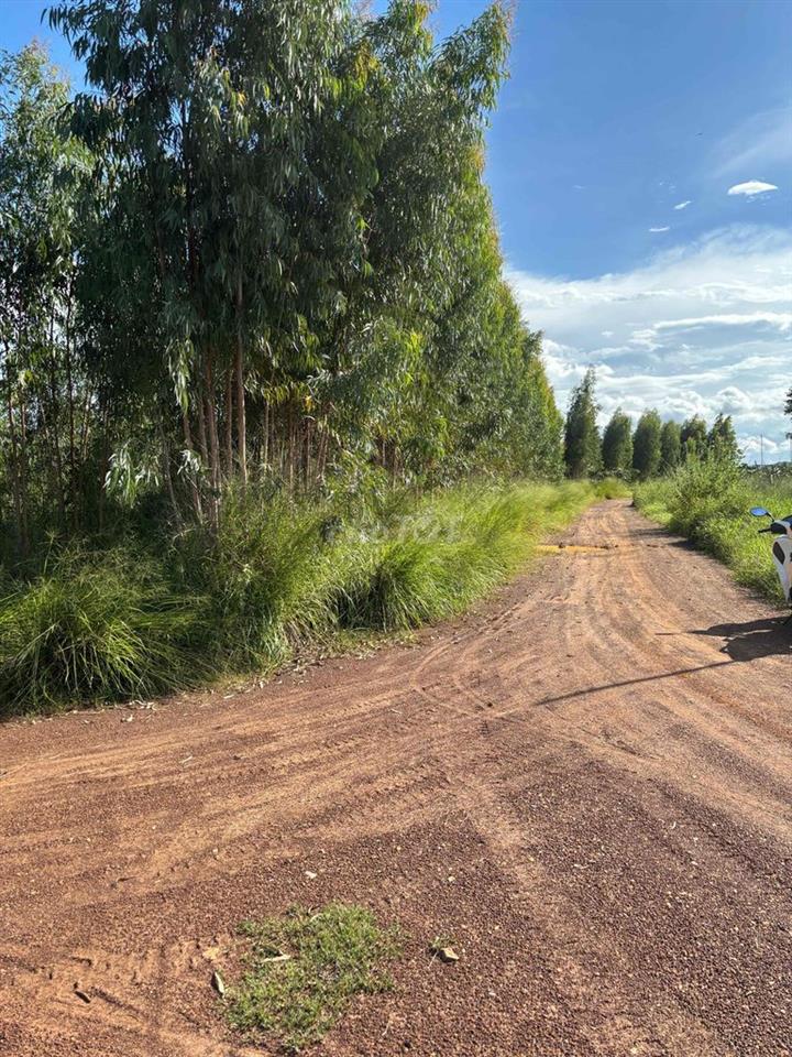 Bán gần 4,3ha đất cây lâu năm gần nút giao cao tốc Phan Thiết-Dầu Giây