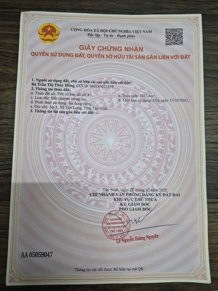 ĐẤT ĐƯỜNG N2