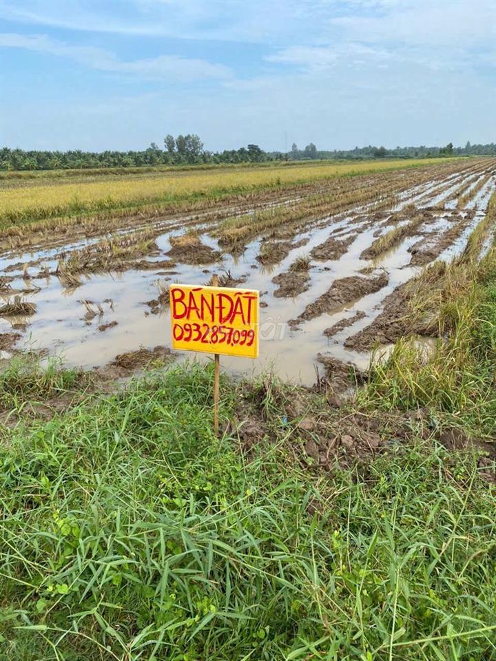 Cần bán 3.3 công đất ruộng, chính chủ đường đan 4m
