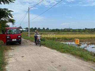 Cần bán 3.3 công đất ruộng, chính chủ đường đan 4m