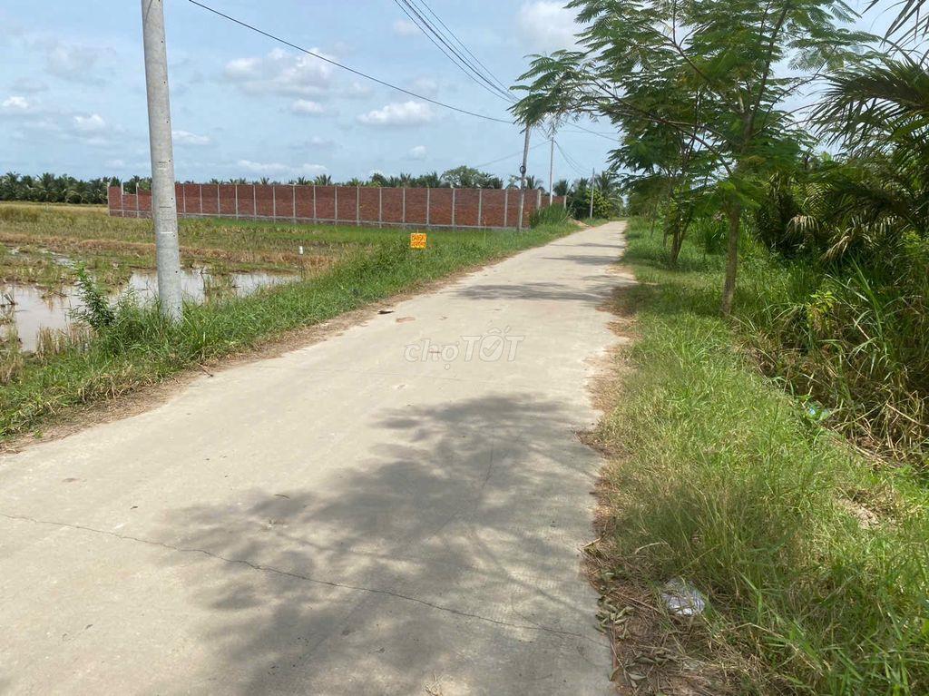 Cần bán ruộng Ba Tri