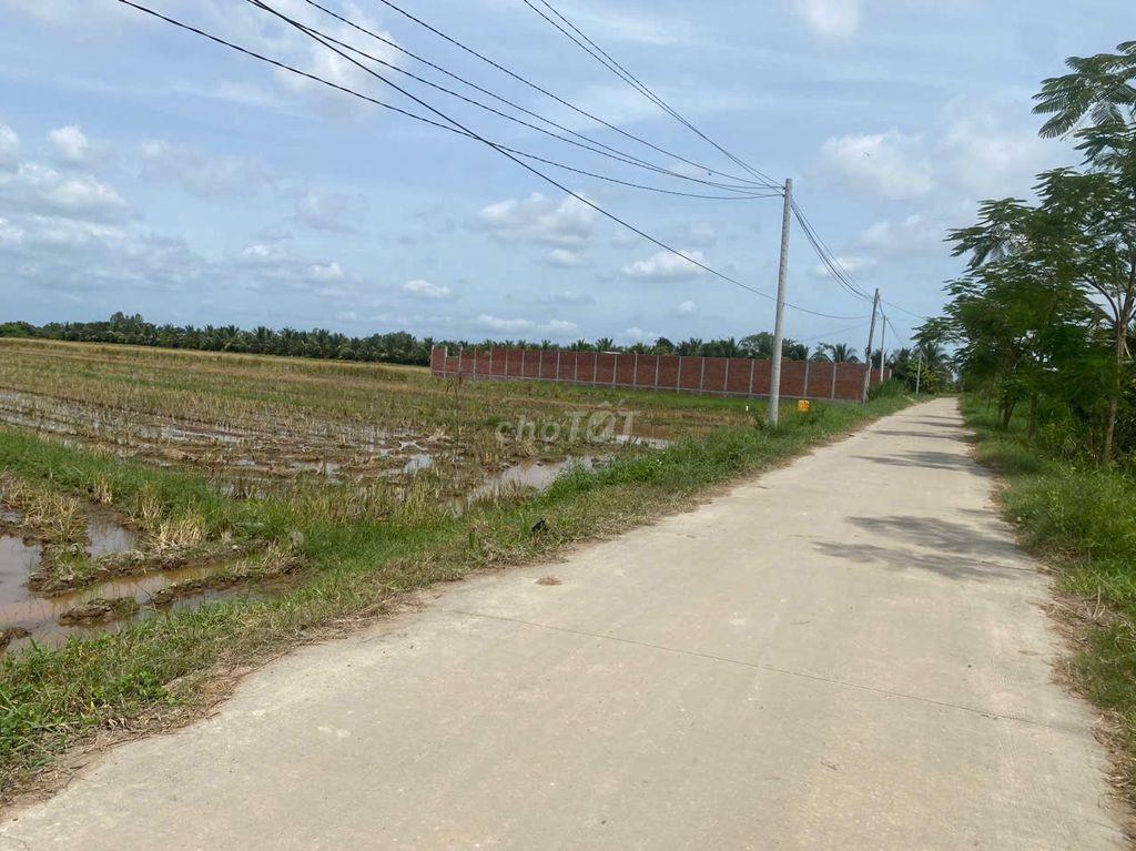 Cần bán ruộng Ba Tri