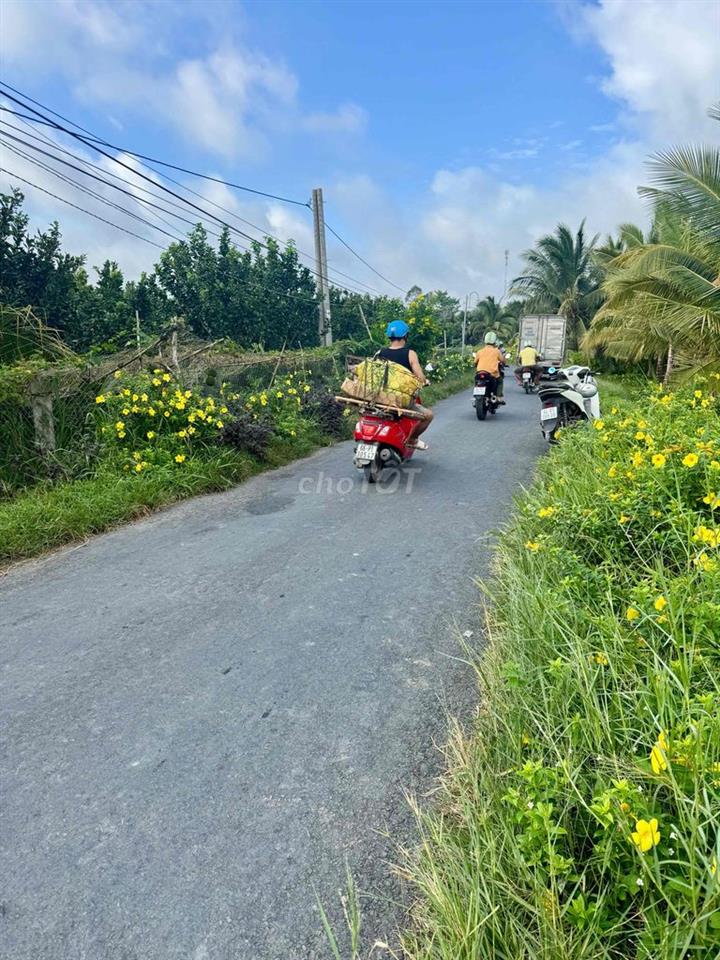 Bán Đất Mặt Tiền Đường Huyện 36 Giá Rẻ