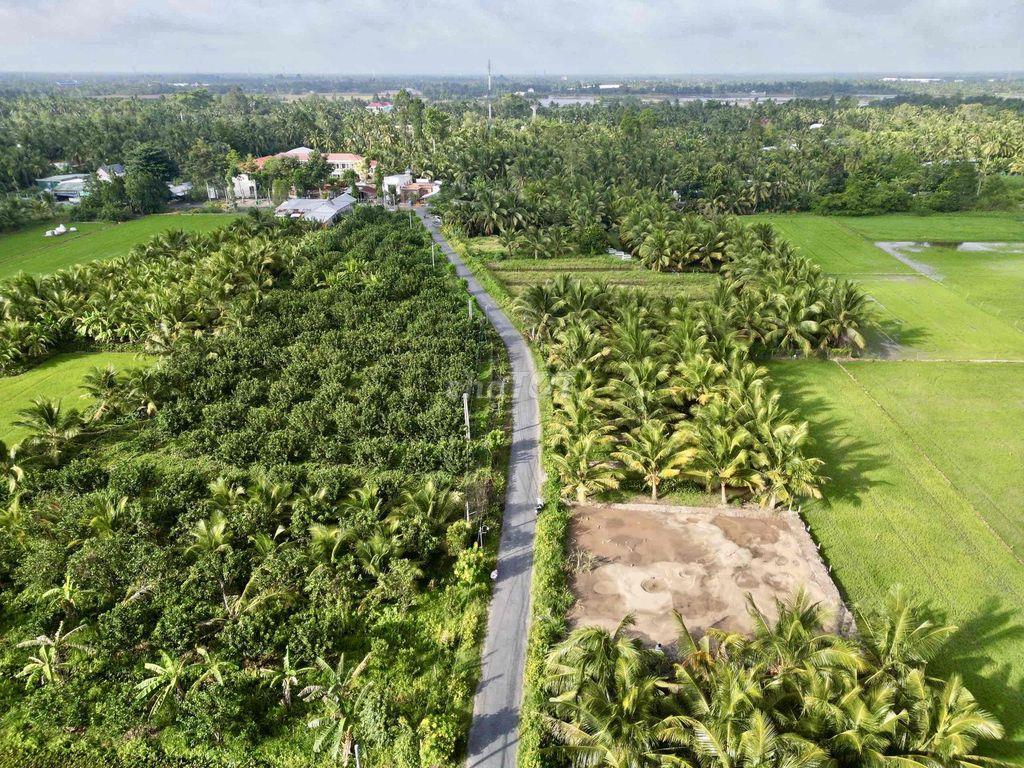 Bán Đất Mặt Tiền Đường Huyện 36 Giá Rẻ
