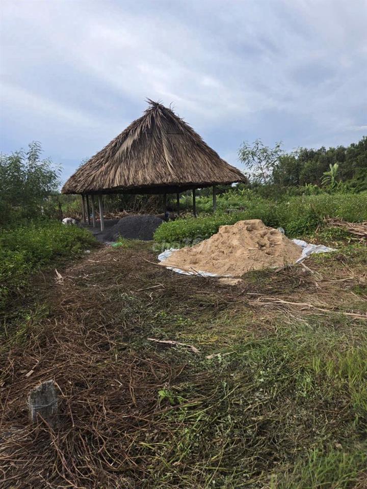 🌿 CHÍNH CHỦ BÁN 500 M² ĐẤT VƯỜN – PHÚ HÒA ĐÔNG MỚI 🌿  📍