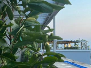 Bán chung cư Lữ Gia, Quận 11, penthouse 180m2, 4PN, 9 tỷ, sổ hồng 