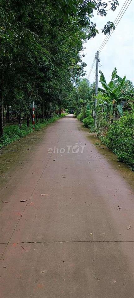 Bán gấp đất nền giá rẻ, thổ cư, sổ sẵn