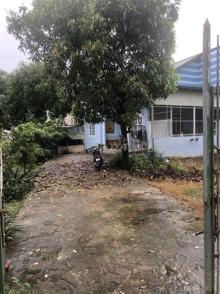 ĐẤT CHÍNH CHỦ CẦN BÁN