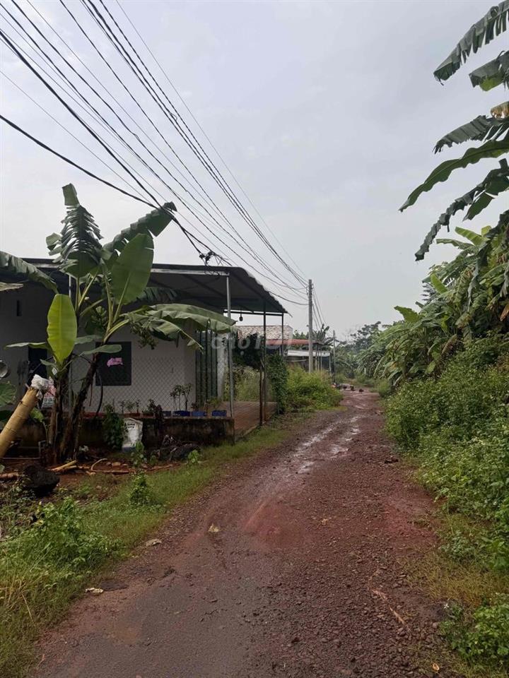 Cần bán lô đất nhỏ ở ninh phát gia kiệm ngã ba soklu đi vô xíu