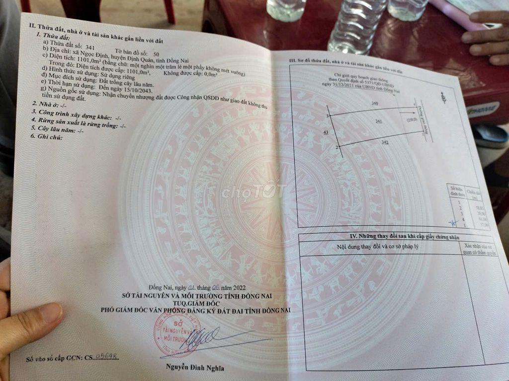 Gia đình đang cần tiền bán gấp
