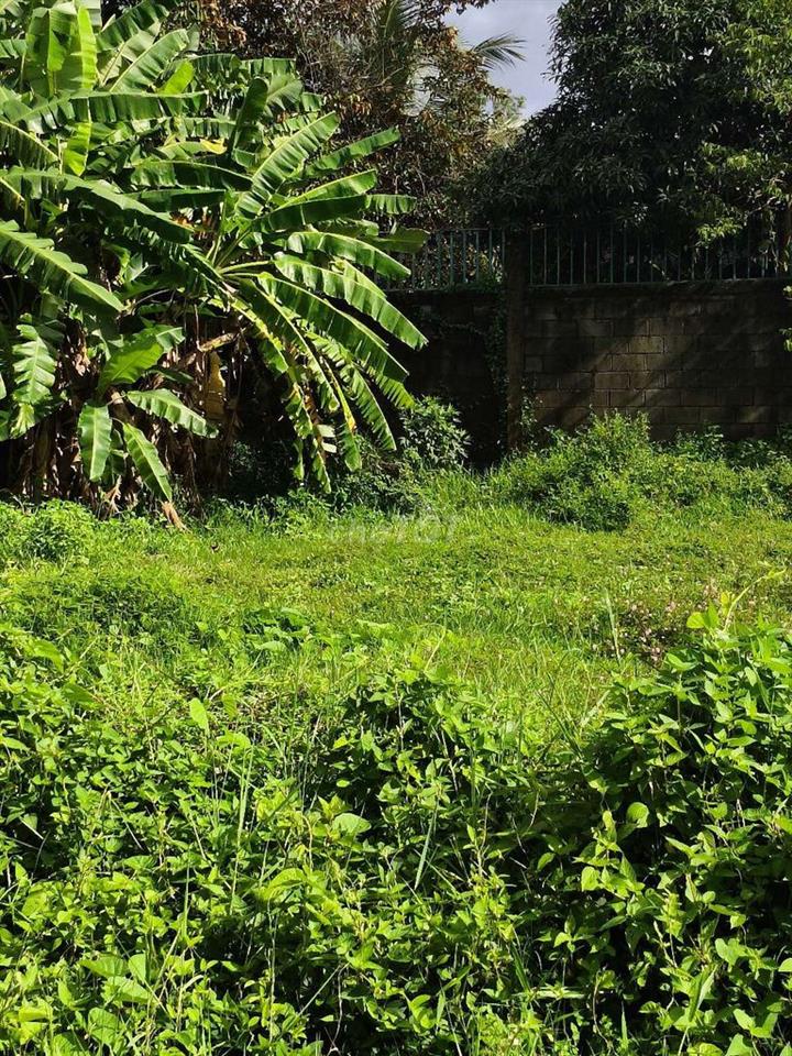Bán đất 840m², Thổ cư 100%, Mặt tiền 20m, Chính chủ bán