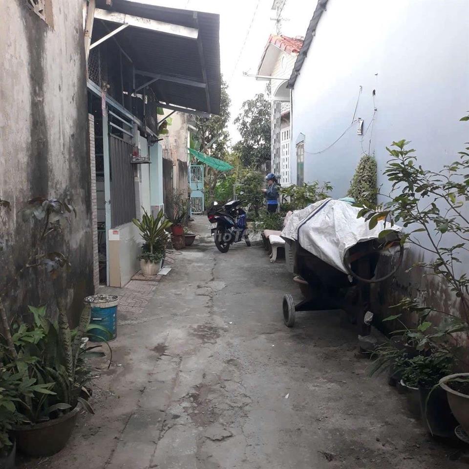 cần bán gấp  nhà đất cây lâu năm 