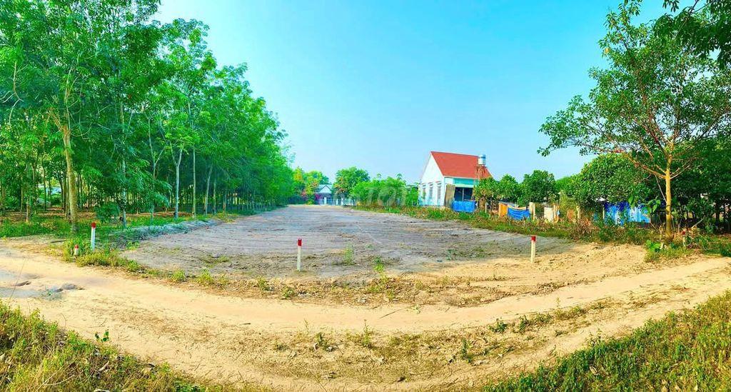 CẮT LỖ SÂU CẦN RA GẤP LÔ ĐẤT 10X30 150 THỔ CƯ