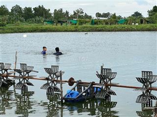 Chính Chủ Cần Bán Gấp 12 Công Đất Ao Tôm Thâm Canh – Sẵn Hạ Tầng, Vào
